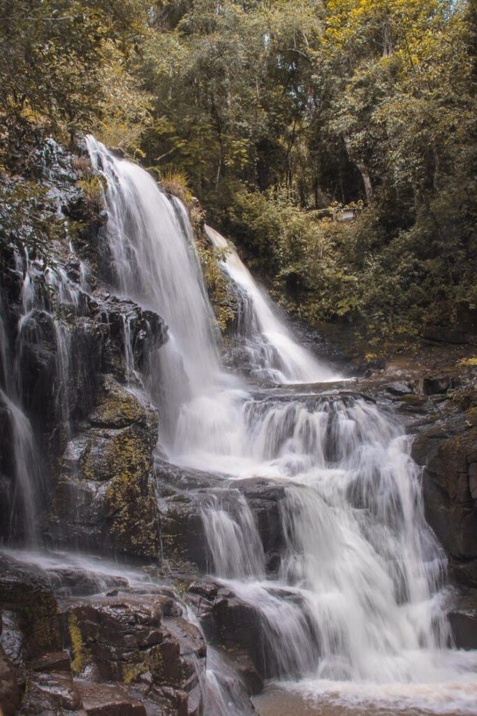 Salto
