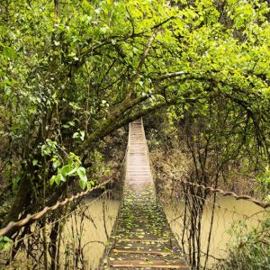 3PuenteMoconaVirginLodge-1