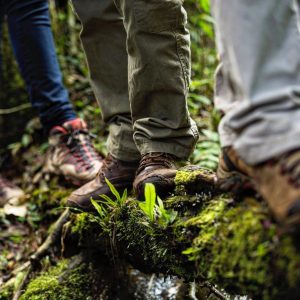 Sendero-2-Mocona-Virgin